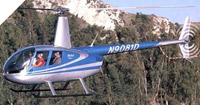 Robinson 44